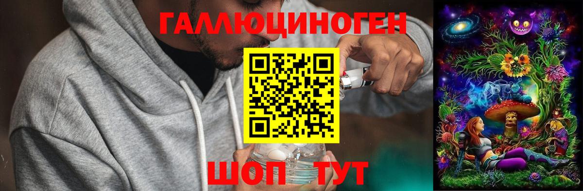 Галлюциногенные грибы GOLDEN TEACHER  купить   Галлюциногенные грибы прущие грибы  Юрга  Вход с VPN 