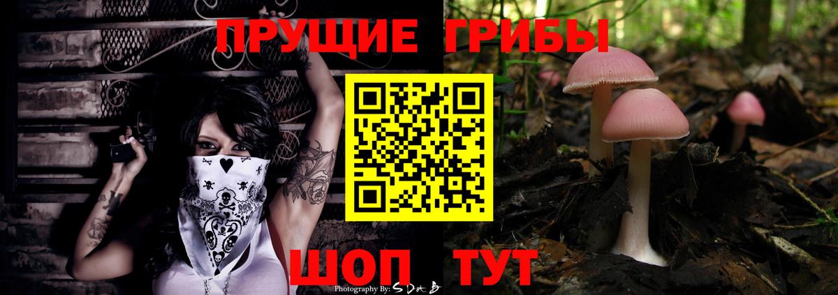 Галлюциногенные грибы MAGIC MUSHROOMS Юрга